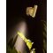 CLIP Satin Brass Aluminium LED Philips 3