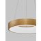 RANDO THIN Brushed Golden Aluminium & Ac