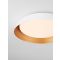 SOLVIA Sandy White & Gold Steel Shade (2