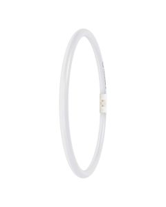 LEDT5 FC40/55 EXT P 21.5W 840 2GX13LEDV
