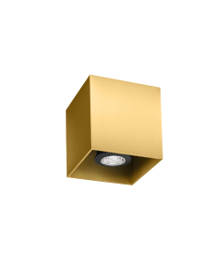 BOX CEILING 1.0 PAR16 G MAX 50W GU10 220