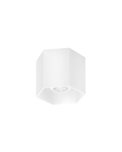 HEXO CEILING 1.0 PAR16 W MAX 50W GU10 22
