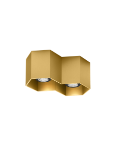 HEXO CEILING 2.0 PAR16 G 2xMAX 50W GU10