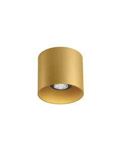RAY CEILING 1.0 PAR16 G MAX 50W GU10 220