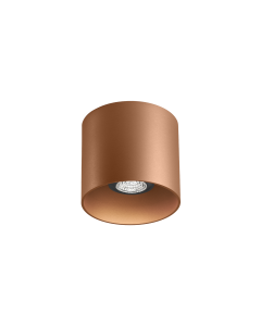 RAY CEILING 1.0 PAR16 P MAX 50W GU10 220