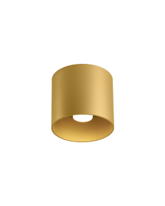 RAY CEILING SURF 1.0 LED 2000-3000K G