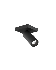 PILLO CEILING SURF 1.0 PAR11 B