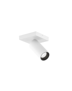 PILLO CEILING SURF 1.0 PAR11 W