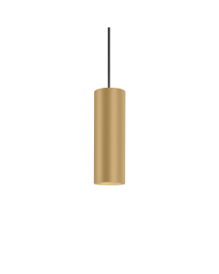 RAY CEILING SUSP 2.0 PAR16 M