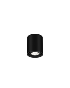 RAY MINI CEILING SURFACE 1.0 PAR16 MAX.1