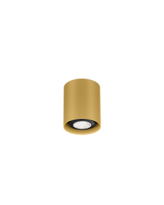 RAY MINI CEILING SURFACE 1.0 PAR16 MAX.1
