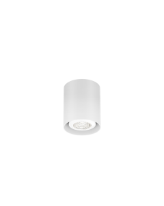 RAY MINI CEILING SURFACE 1.0 PAR16 MAX.1