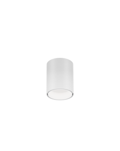 RAY MINI CEILING SURF 1.0 LED 3000K W-W