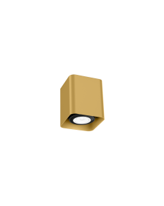 DOCUS MINI CEILING SURFACE 1.0 PAR16 MAX