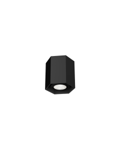 HEXO MINI CEILING SURFACE 1.0 PAR16 MAX.