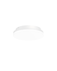 ROSS IP54 CEILING / WALL SURF 1.0 LED 30