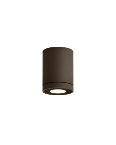 TUBE OUTDOOR CEILING SURF 1.0 PAR16 Q