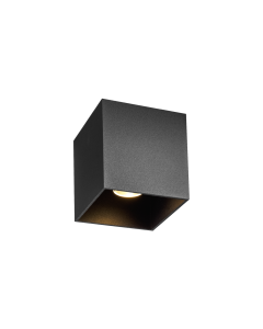 BOX OUTDOOR CEILING SURF 1.0 LED 2000-30