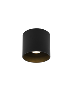 RAY OUTDOOR CEILING SURF 1.0 LED 2000-30