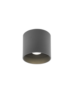 RAY OUTDOOR CEILING SURF 1.0 LED 3000K D