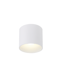 RAY OUTDOOR CEILING SURF 1.0 LED 2000-30