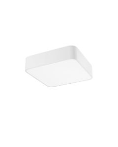 RAGU Ceiling lamp Metal & Acrylic Diffus