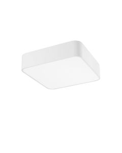 RAGU Ceiling lamp Metal & Acrylic Diffus