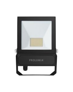 Pro-Flood basic 50Watt 5700K