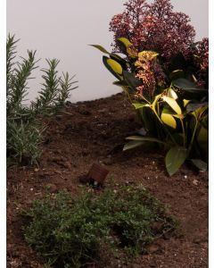 Sento Corten Aluminium & Polycarbonate
