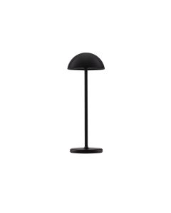ROSE Black Aluminium & Acrylic LED 1 Wat