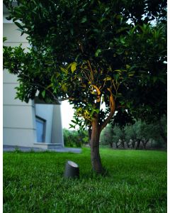 FOX Dark Gray Sandstone Glass Diffuser L