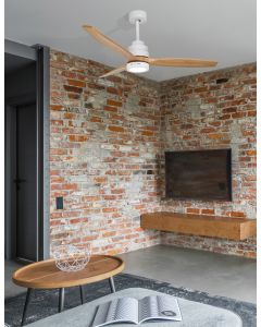 NATURE Matt White Steel & Glass Oak Wood