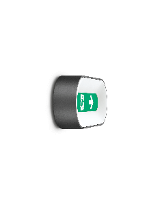 Ross 280 Emergenza LED 4K 9W Sabbia Em.