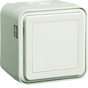 Blindpl. met behuizing, berker W.1, pola