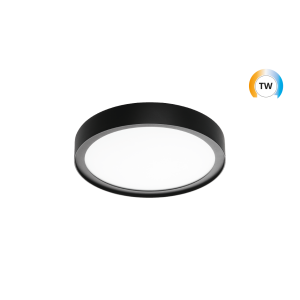 Disc 290 zwart LED TW 2700-6500K Dali Ty