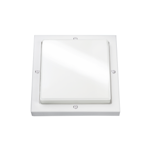 Bassi wit/opaal E27 CFL