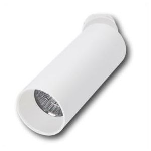 Naula spot Ø40 wit 3000K