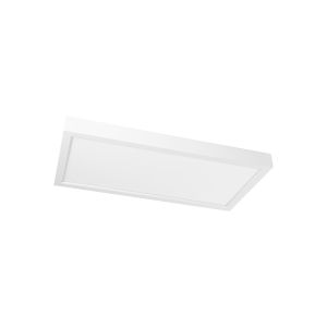 Pro-Ceiling 295 x 595 x 48, opbouw, 30W,