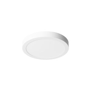 Pro-Ceiling Ø300x39mm opbouw, 30W, 2700K