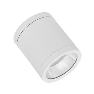 DL SURFACE DN90P 15W840 36D IP65 WTLEDV