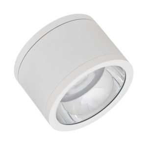 DL SURFACE DN160P 30W830 36D IP65WTLEDV