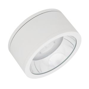 DL SURFACE DN250P 45W830 60D IP65WTLEDV