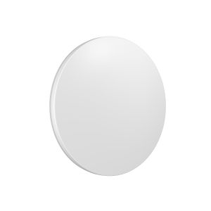 SF FLAT RD SN 500 P 27W ML 83040 LEDV