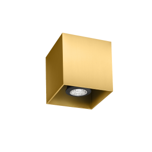 BOX CEILING 1.0 PAR16 G MAX 50W GU10 220
