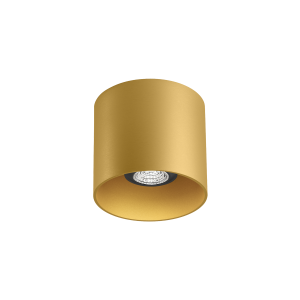 RAY CEILING 1.0 PAR16 G MAX 50W GU10 220