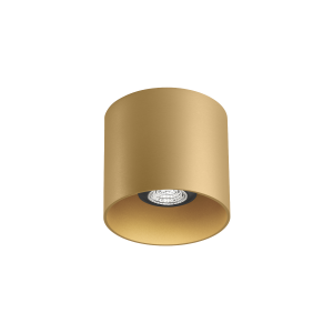 RAY CEILING SURF 1.0 PAR16 M