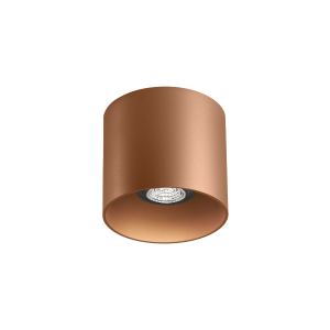 RAY CEILING 1.0 PAR16 P MAX 50W GU10 220