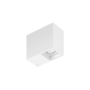 PLANO PETIT CEILING SURF 1.0 LED 2000-30