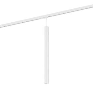 RAY MINI ON TRACK 1-PHASE 5.0 PAR11 W
