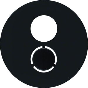 Centrd. voor luidspreker-wcd, berker R.1